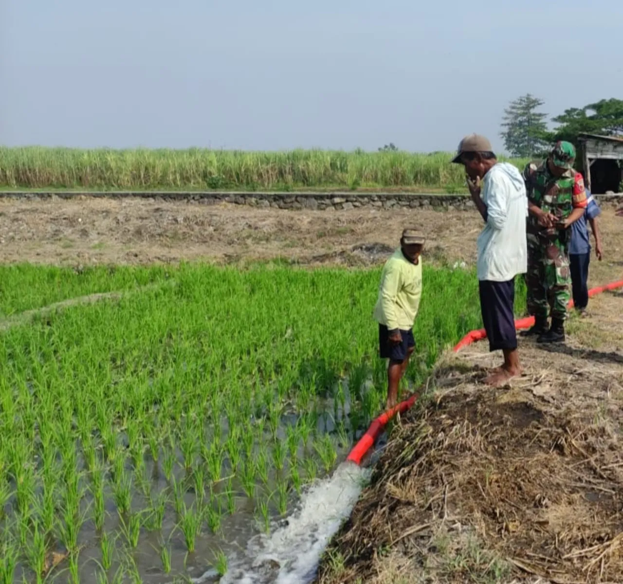 Satgas TMMD ke-120 Bor Sumur untuk Pertanian di Desa Penambangan