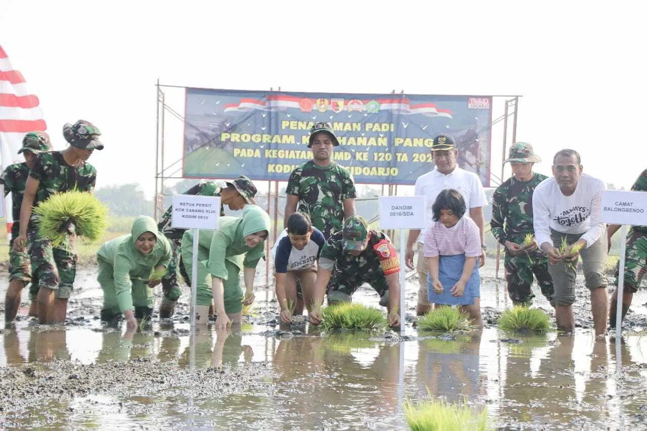 Penanaman Padi dan Pohon Sebagai Misi Hijau TMMD ke-120 Kodim 0816/Sidoarjo di Desa Penambangan