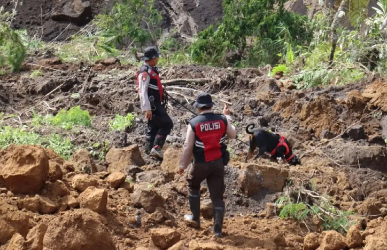 Pencarian Korban Longsor di Lumajang Libatkan Unit K9