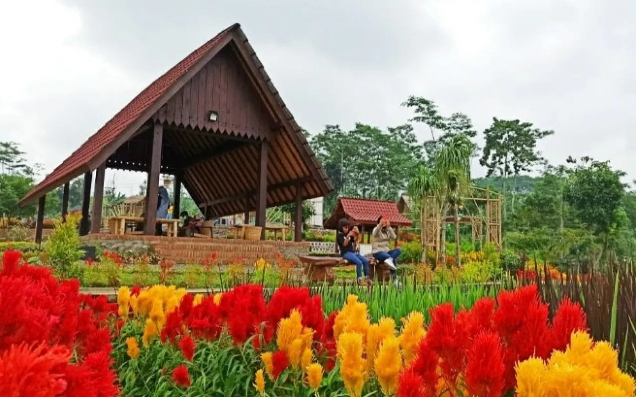 Pemkab Banyuwangi Gelar Festival Arsitektur di Kawasan Agrowisata