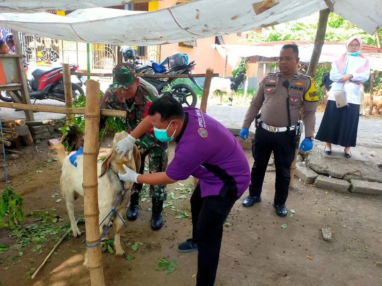 Disnak Pasuruan Pastikan Hewan Kurban Aman