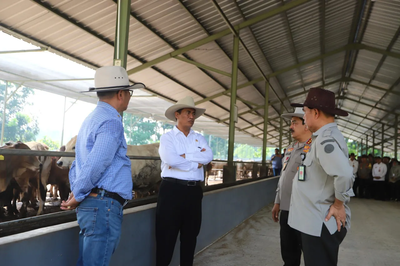 Kementan Pastikan Stok Hewan Kurban Mencukupi