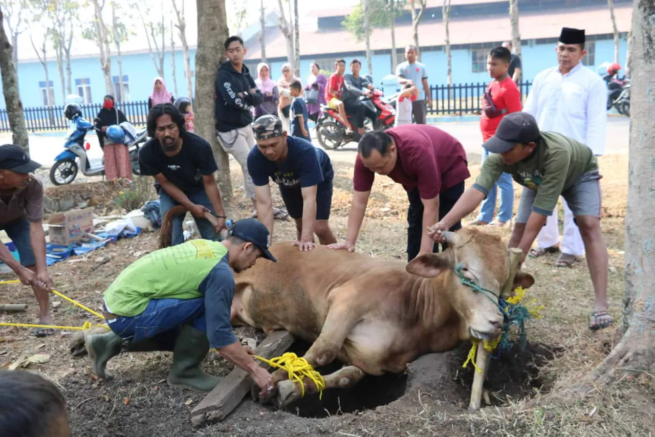 RPH Kota Malang akan Tambah Juleha saat Idul Adha