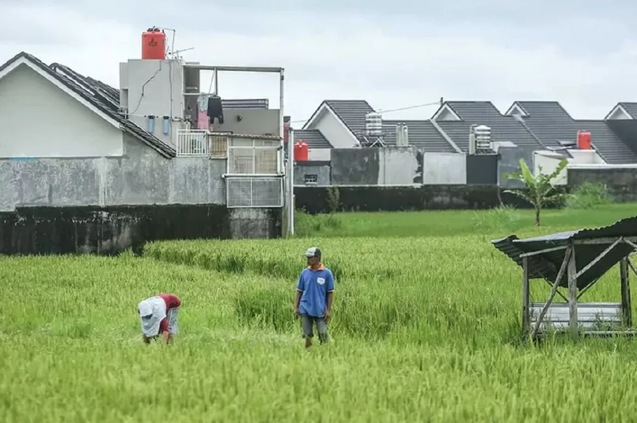 Pertanian Kota Malang Mulai Menyempit, Banyak Petani Jual Lahan