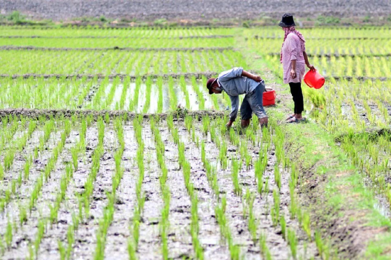 Hore, Petani di Jember Bakal Dapat 63.248 Ton Pupuk Bersubsidi