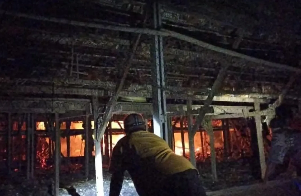 Peternak Rugi Puluhan Juta, Ribuan Ayam Petelur Mati Terpanggang