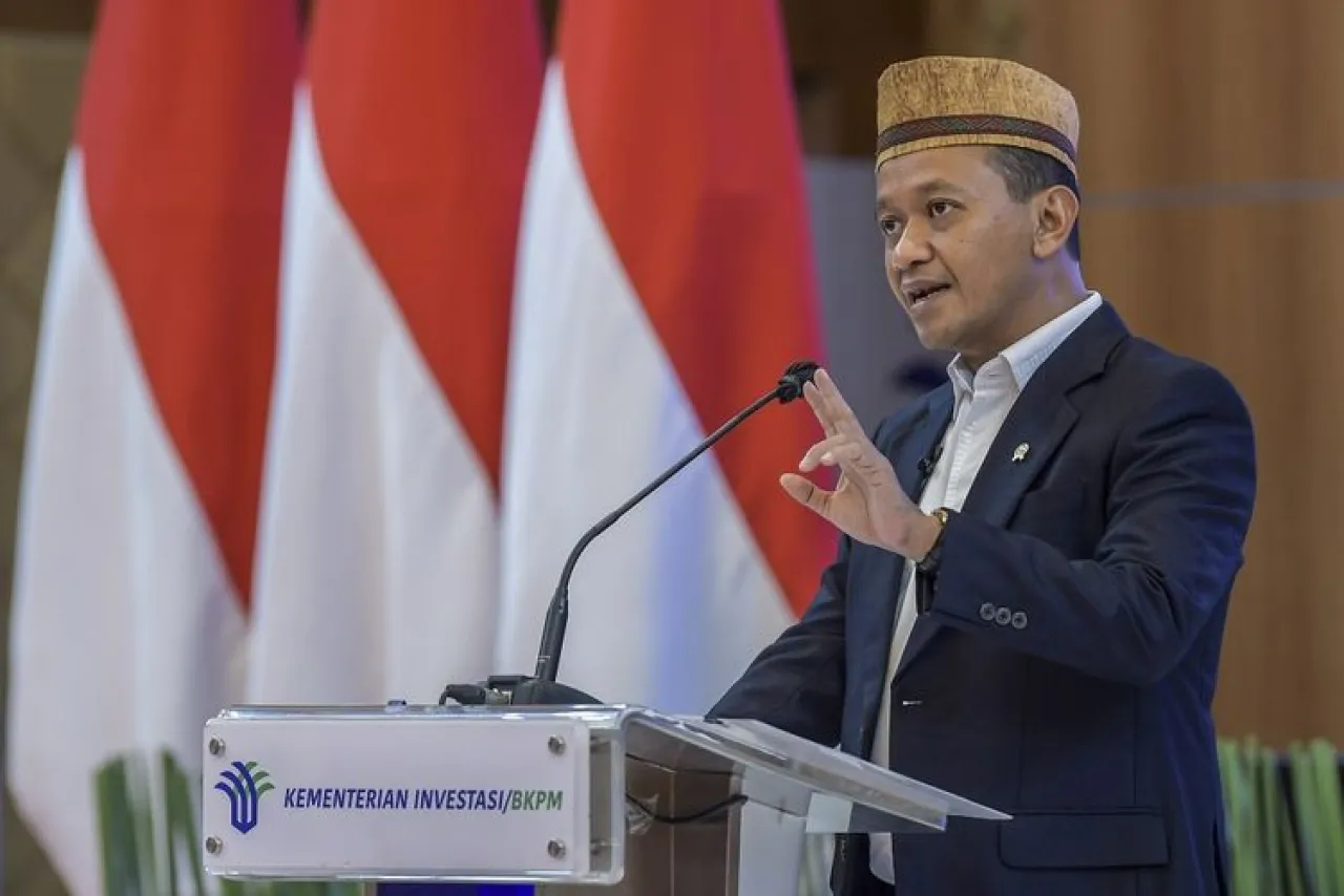 Baca juga : BKPM Ungkap Investor Asing di IKN
