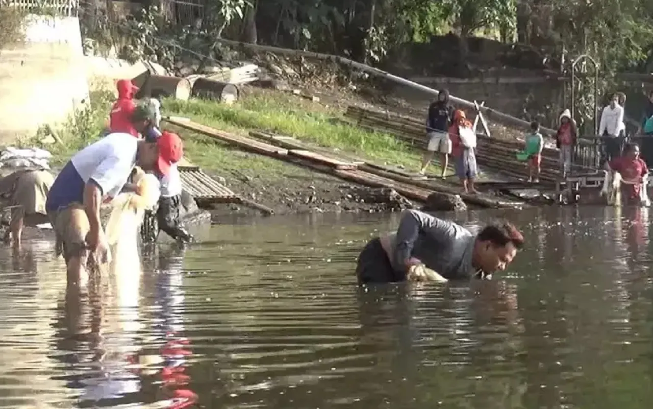 Fenomena ‘Koyo’ di Lumajang, Peternak Ikan Terpaksa Panen Lebih Awal