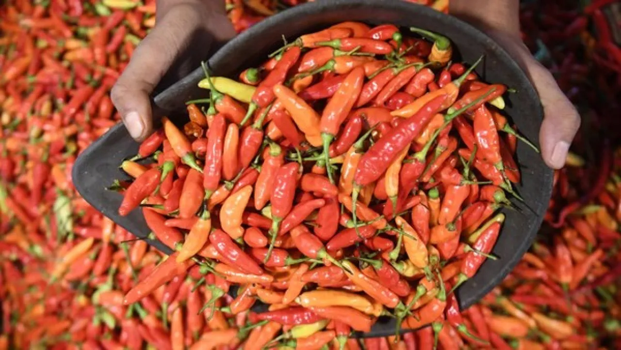 Bapanas Ungkap Solusi Atasi Kenaikan Harga Cabai
