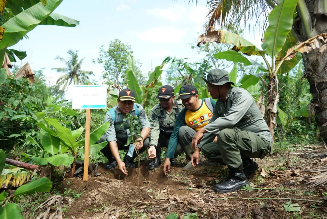 Tanam Ribuan Pohon, PLN Komitmen Wujudkan Kepedulian Lingkungan