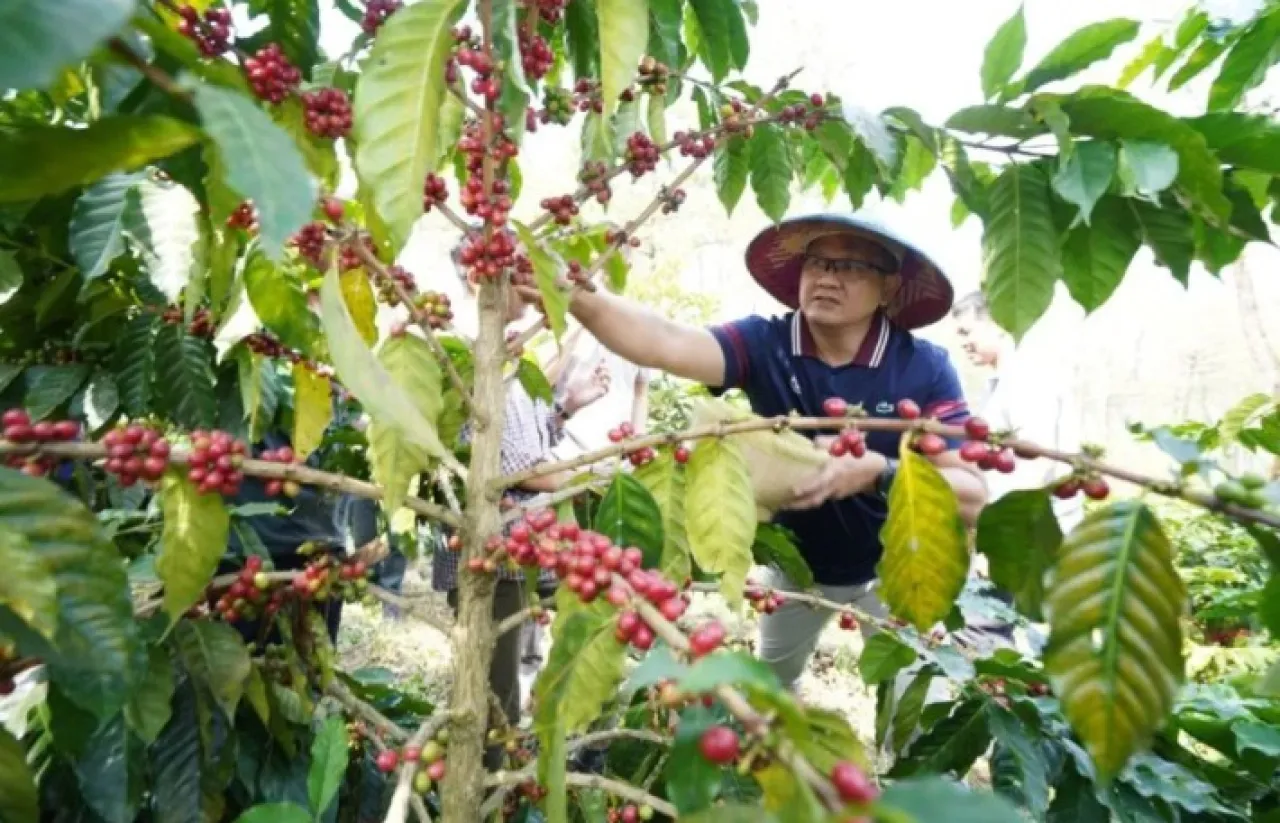 Pj Wali Kota Batu Berharap Kopi Jadi Produk Unggulan