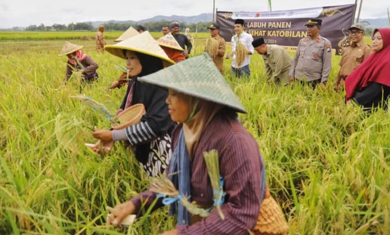 Labuh Panen Berlimpah di Trenggalek, Petani Hasilkan 5,2 Ton