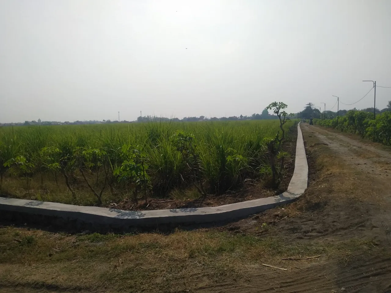 Genjot Kesejahteraan Petani, Pemdes Karangpuri Bangun TPT
