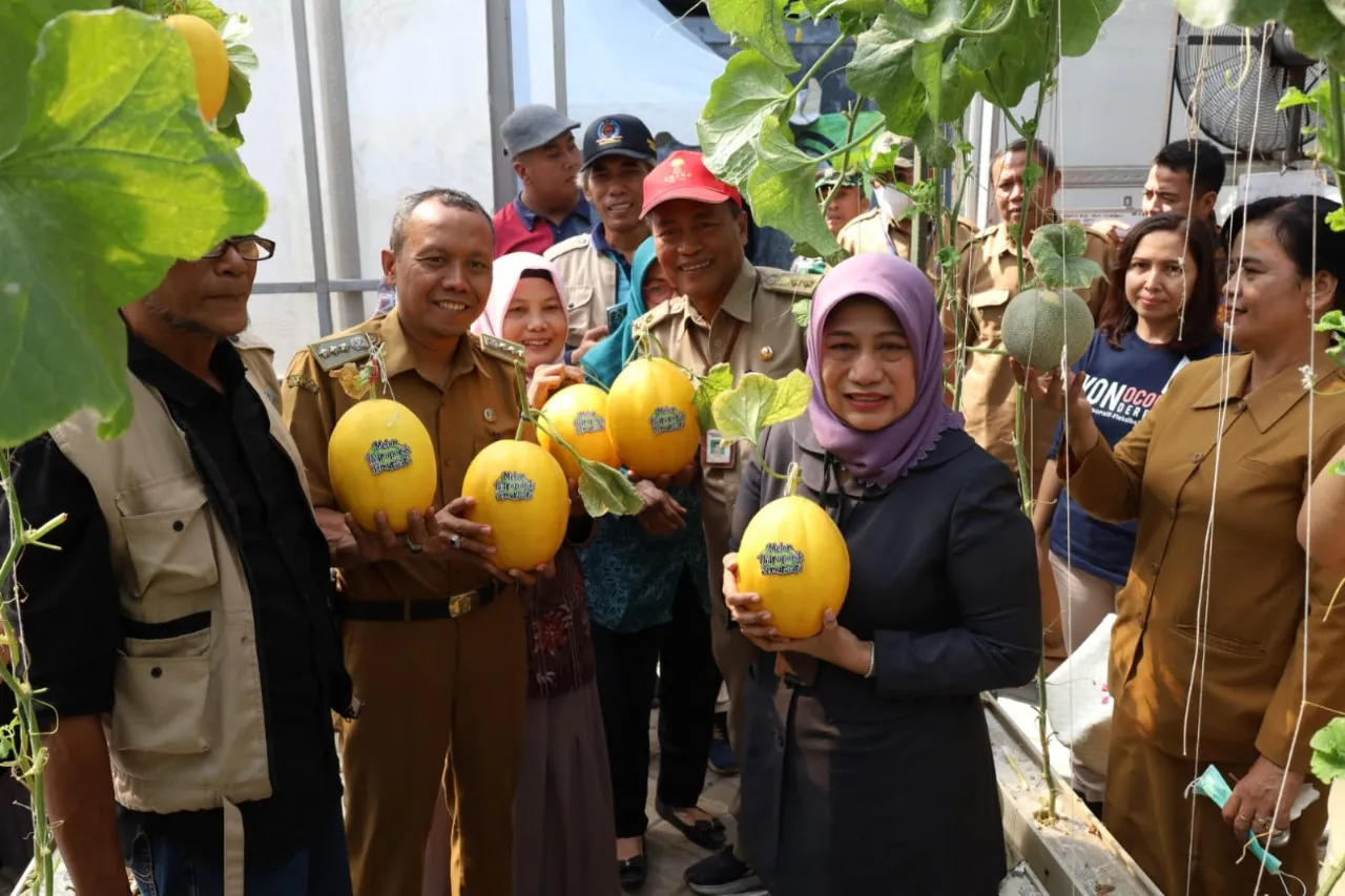 Baca juga : Kampung Melon Surabaya: Inovasi Urban Farming Tingkatkan Ekonomi Warga