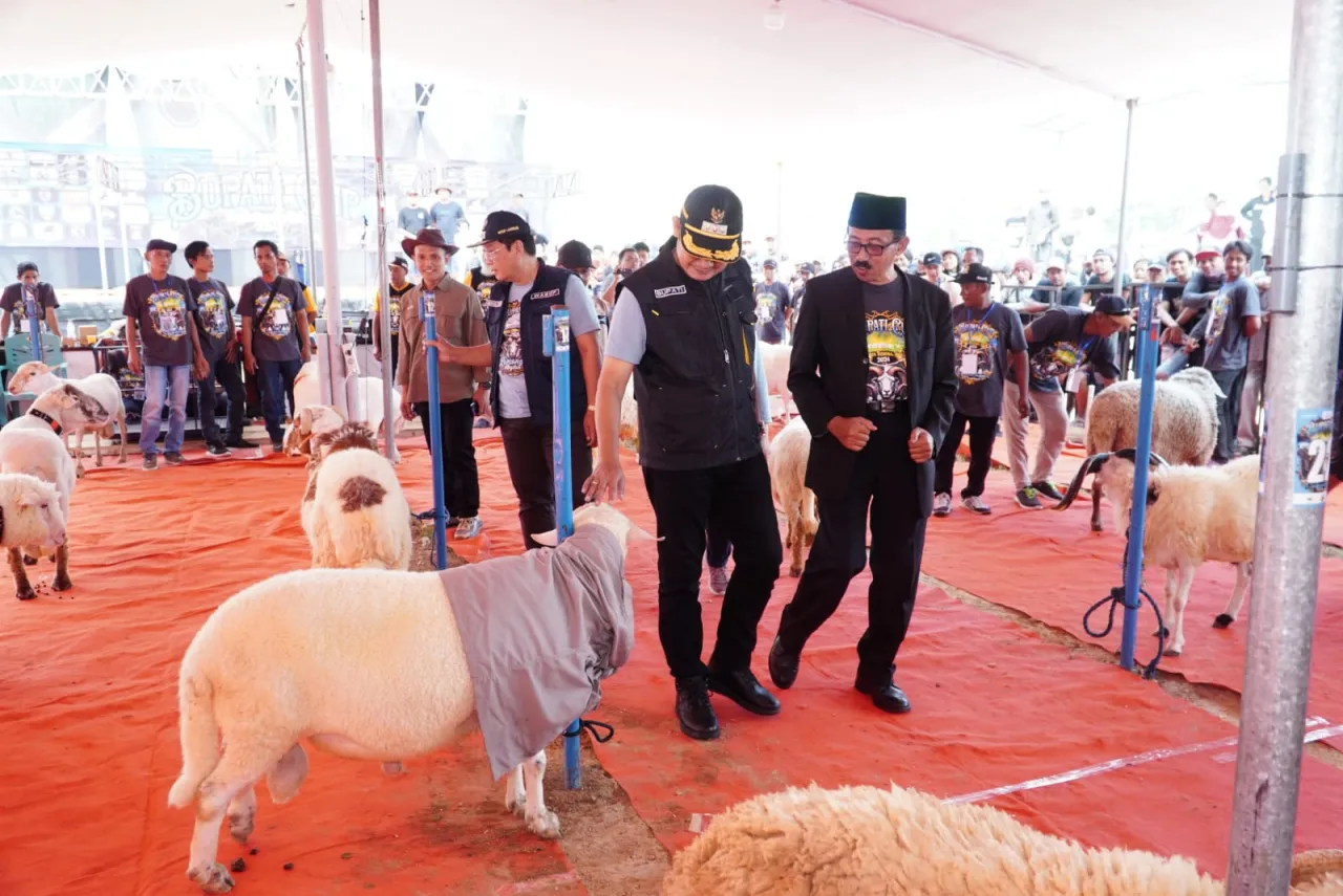 Kontes Ternak Regional Jawa Sukses Digelar