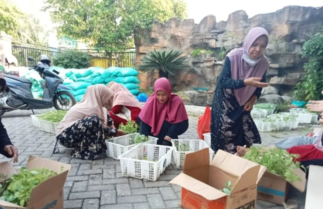 DKPP Bojonegoro Ajak Warga Menanam di Pekarangan