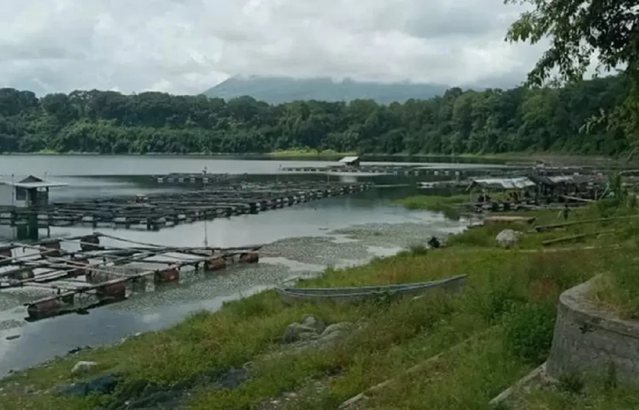 Musim Kemarau, Danau Ranupakis Lumajang Menyusut Drastis 26 Meter