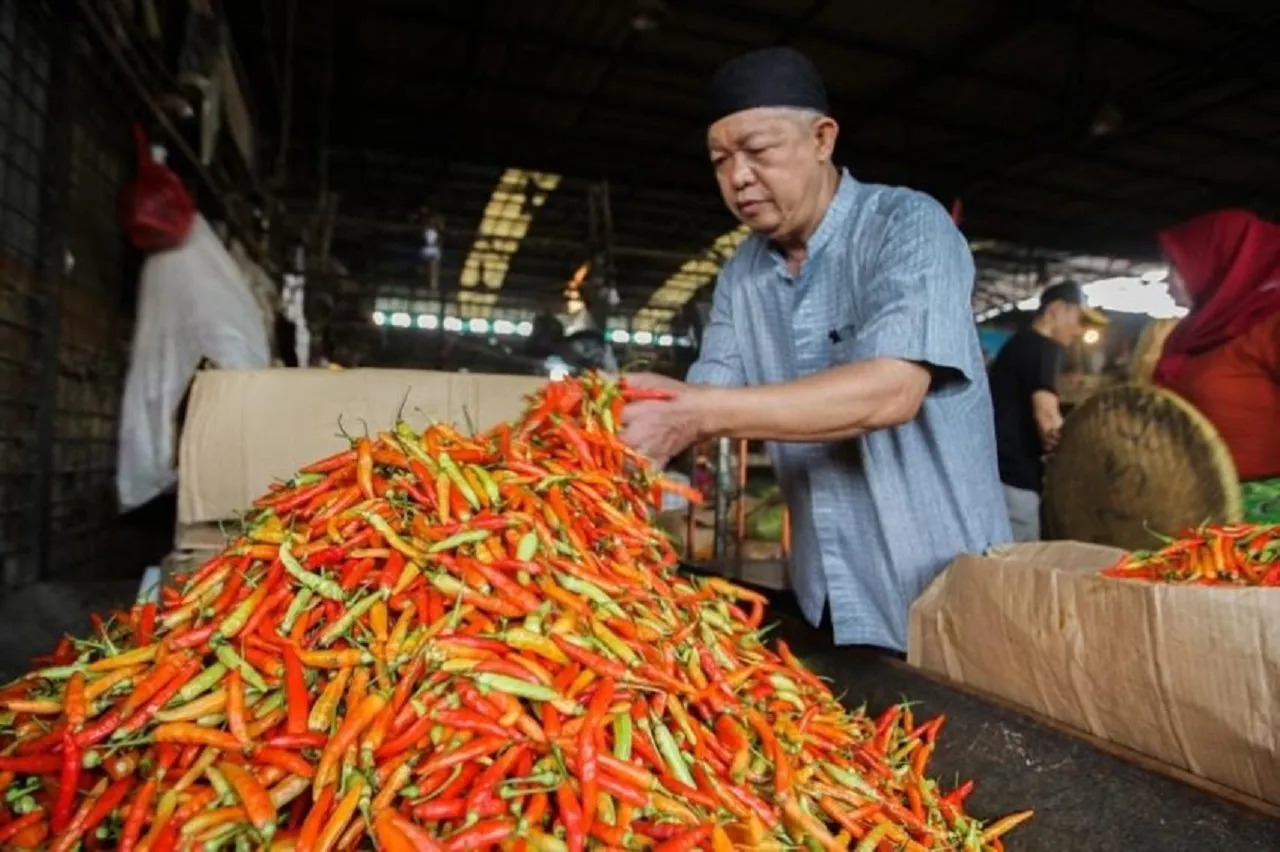 Harga Cabai Rawit di Sumenep Berangsur Landai, Turun Rp 50 Ribu per Kg