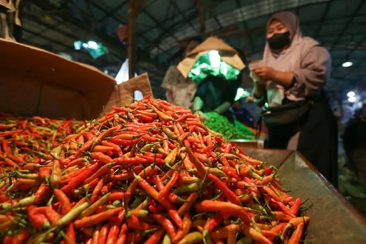 Dipicu Hama dan Kekeringan, Harga Cabai Rawit di Lumajang Mahal