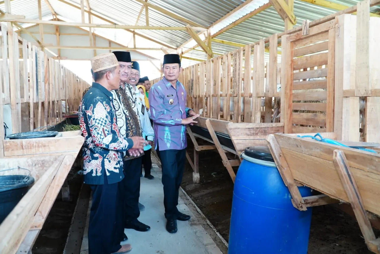 Baznas Nasional Resmikan Ternak yang Dikelola Mustahiq di Lamongan