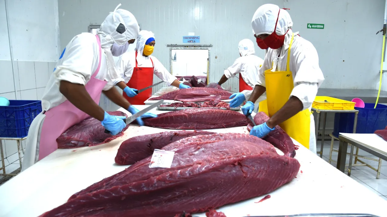 Produk Olahan Tuna dan Cakalang Indonesia Bebas Bea Masuk ke Jepang