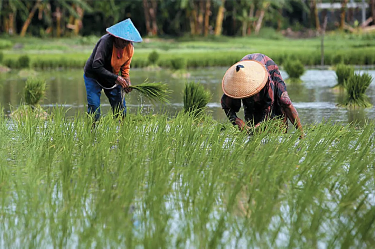 Pemkab Ngawi Genjot Pertanian Ramah Lingkungan, Siapkan 50 Ribu Hektar Lahan