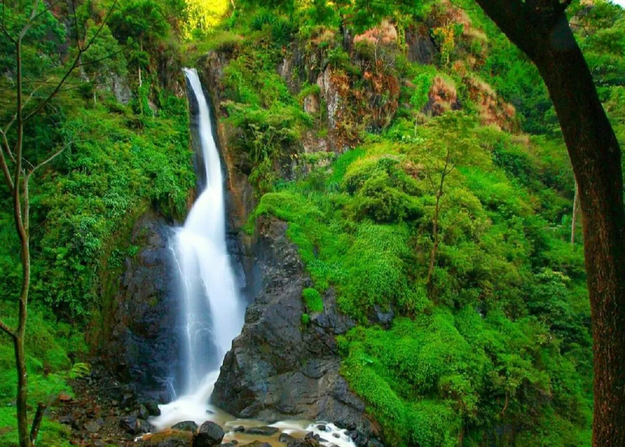 Surga Tersembunyi Air Terjun Pletuk, Wisata Healing yang Ramai Wisatawan