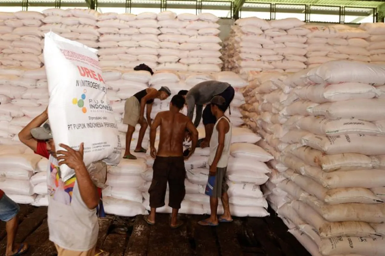 Serapan Pupuk di Probolinggo Turun, Alokasi Disesuaikan Masa Tanam