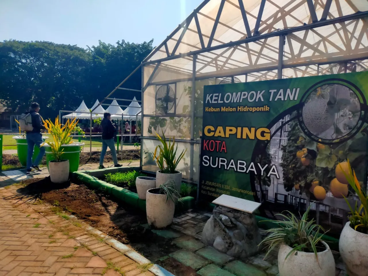 Jemur Wonosari Berdayakan Ekonomi Warga Melalui Inovasi Pemanfaatan Lahan untuk Raih Prestasi