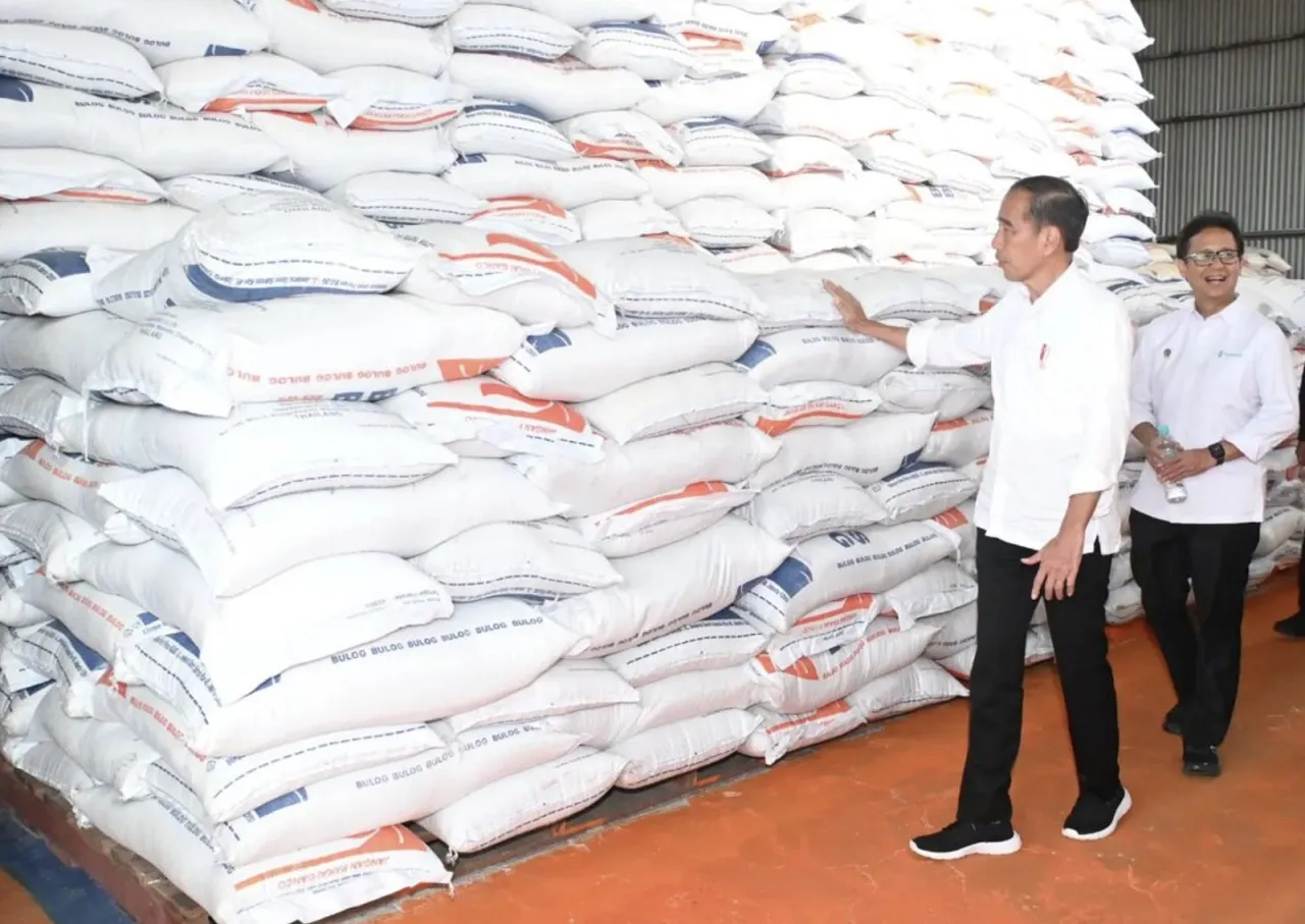 Jokowi Akui Mahalnya Harga Beras, Gegara Impor