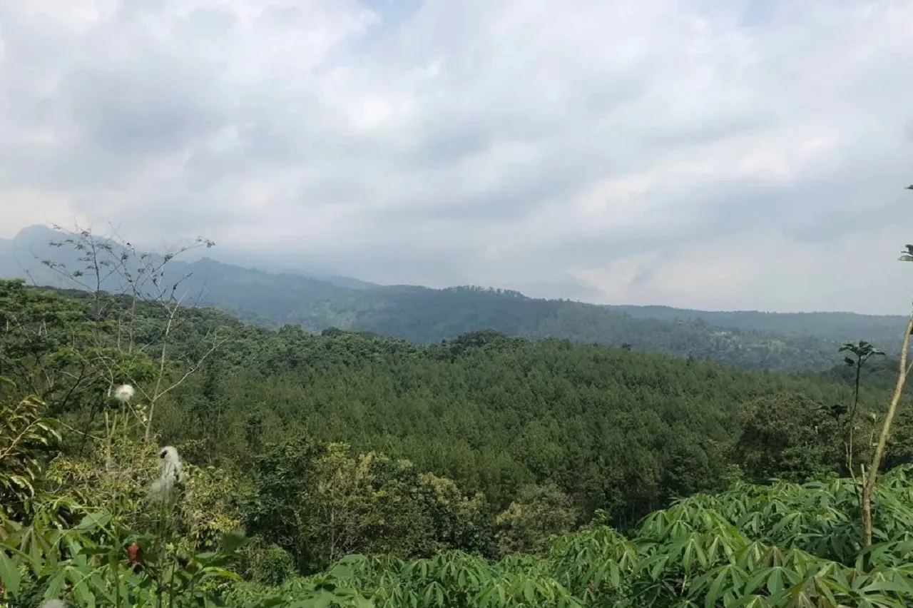 Watu Jengger di Mojokerto, Destinasi Wisata Alam Ideal untuk Mendaki