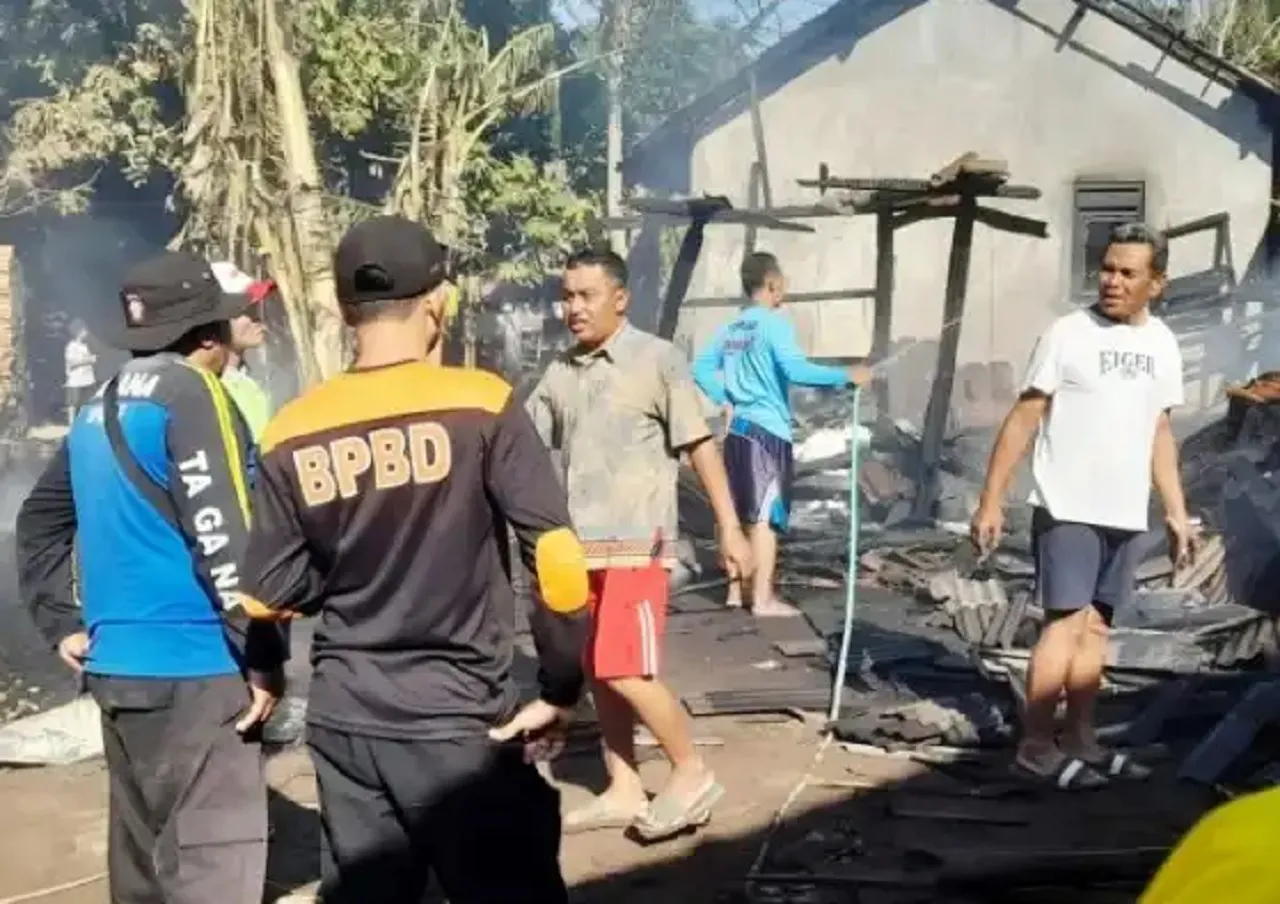 Dalam Sebulan, BPBD Situbondo Catat Kasus Kebakaran hingga 25 Kali