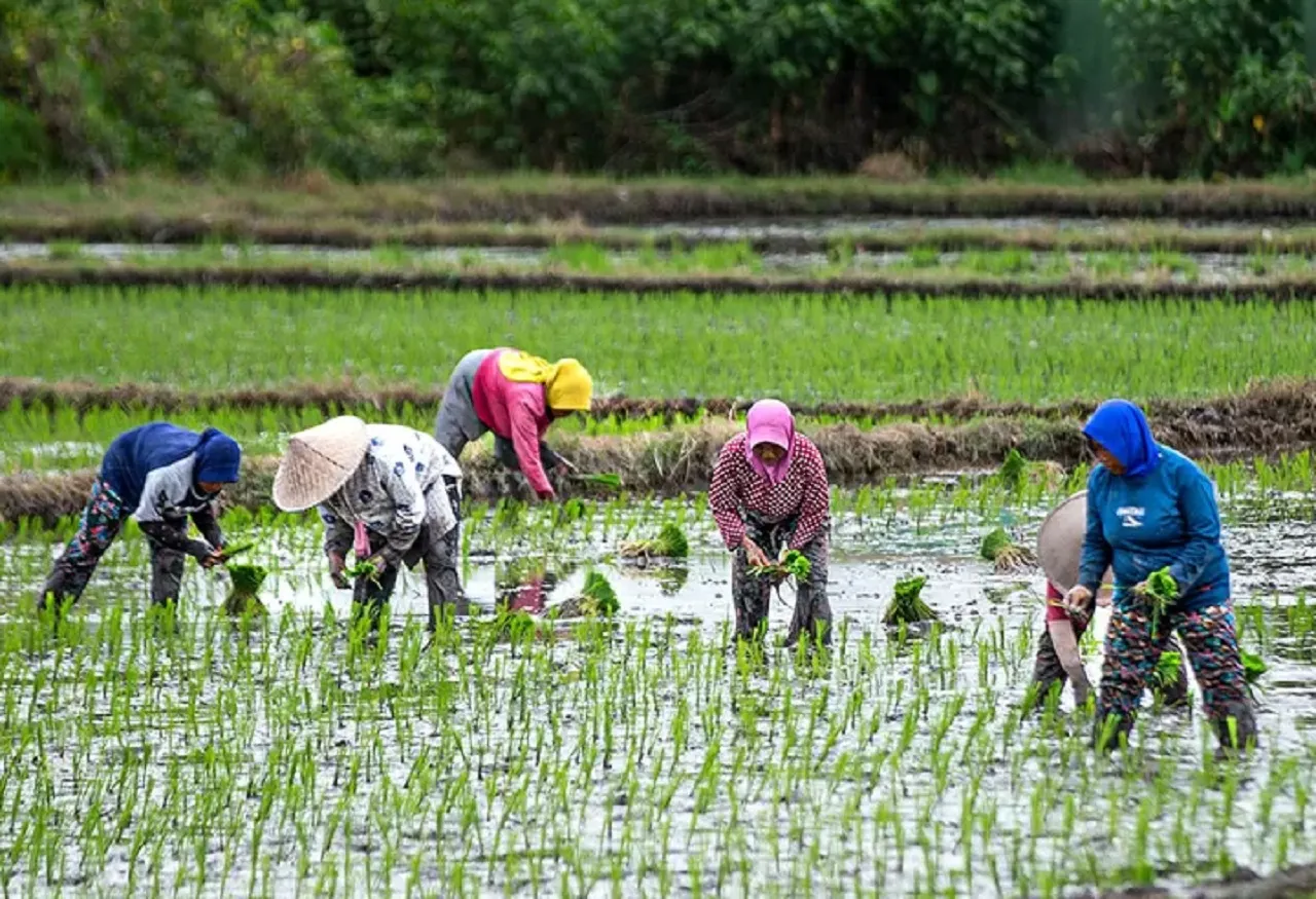 Dukung Program PAT, Pemkab Bangkalan Usul Penambahan Penyuluh Pertanian