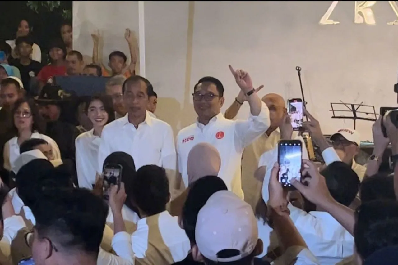 Jokowi Ikut Kampanyekan RK, PDIP Tak Pusing