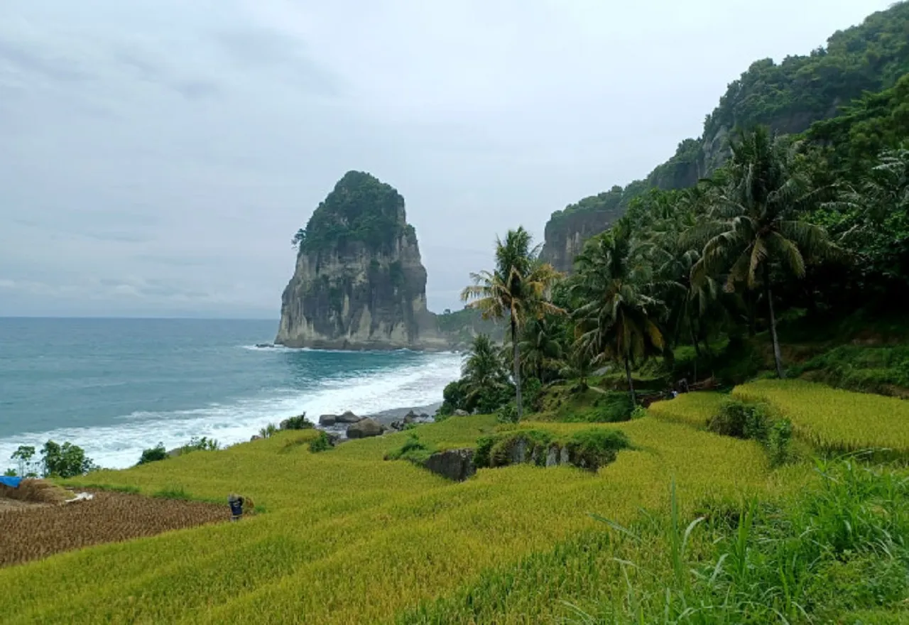 Destinasi Pantai Pangasan, Suguhkan Panorama Alam Eksotis di Pacitan
