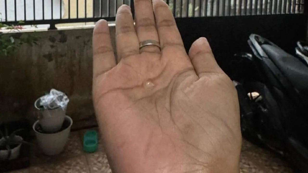 Fenomena Hujan Es di Sidoarjo Bikin Heboh, Banyak Pohon Ikut Roboh
