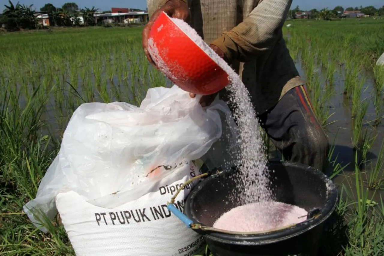 Catat Tanggalnya! Kesempatan Petani Jadi Penerima Pupuk Subsidi Tahun Depan