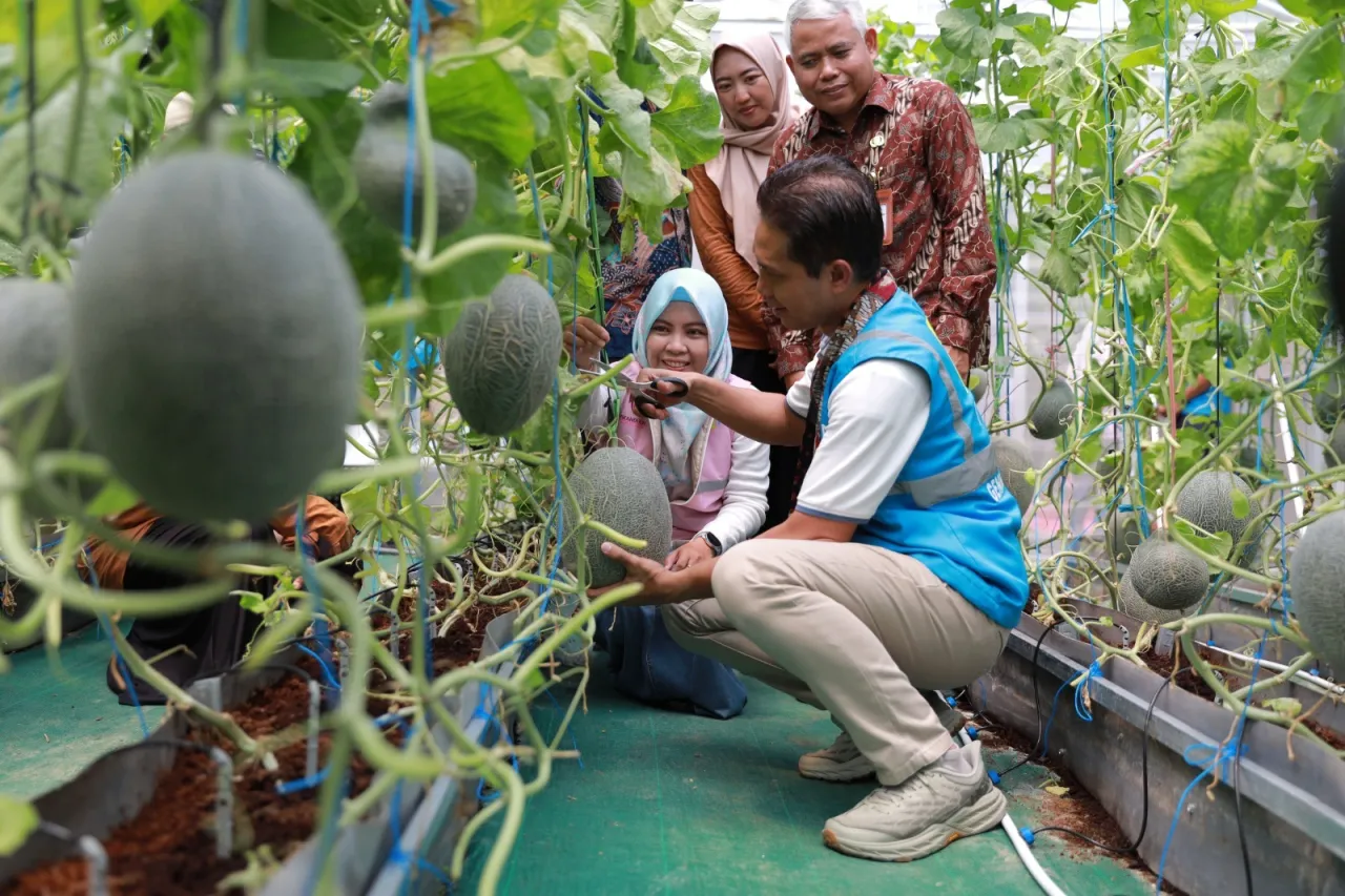 Melalui Kebun Gizi, Srikandi PLN Entaskan Stunting Pada Anak