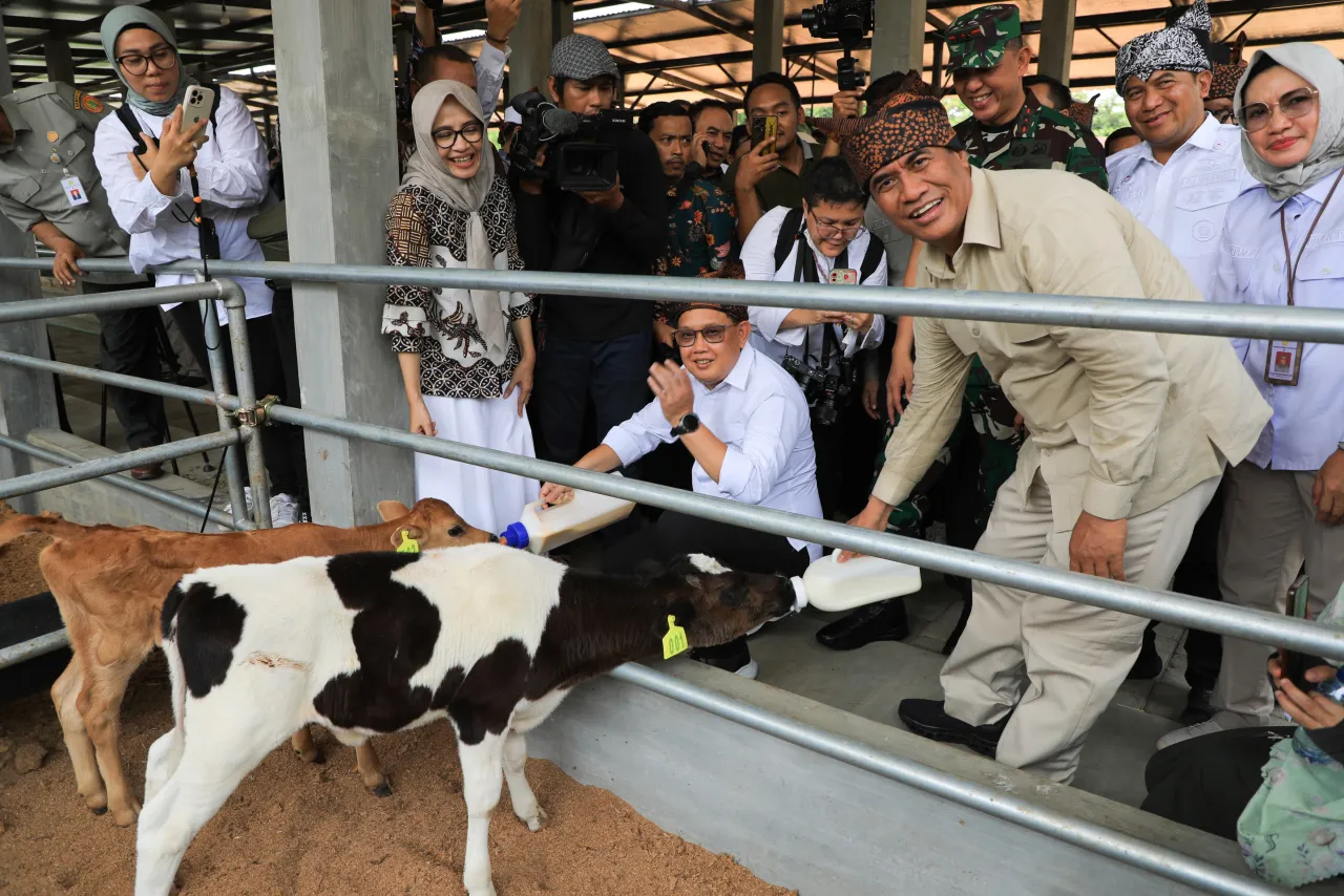 Pj Gubernur Jatim Sebut Jadi Solusi untuk Maksimalkan Penyerapan Susu Peternak Lokal