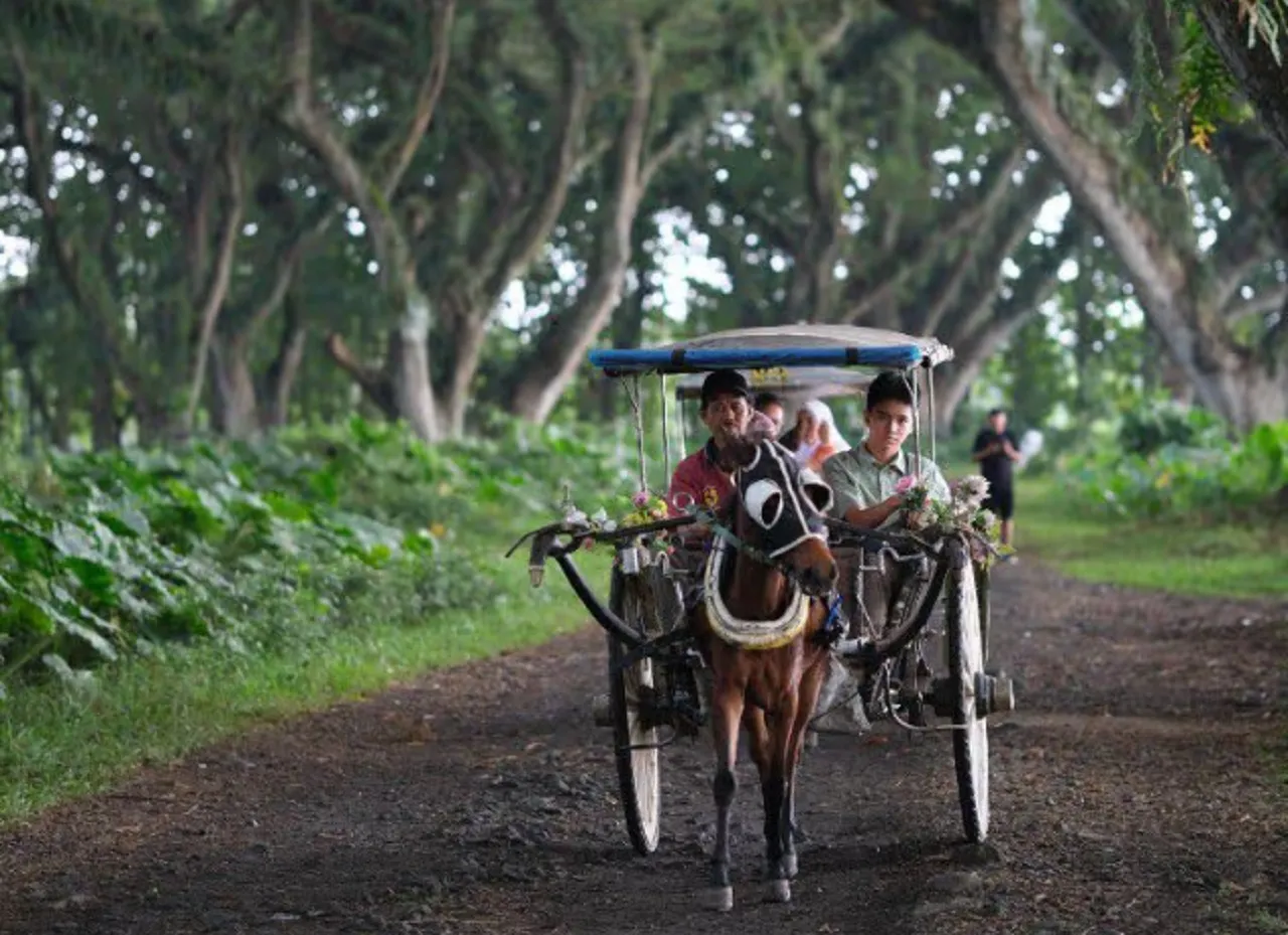 De Djawatan Forest, Wisata Eksotis Bernuansa Pedesaan Tahun 90-an