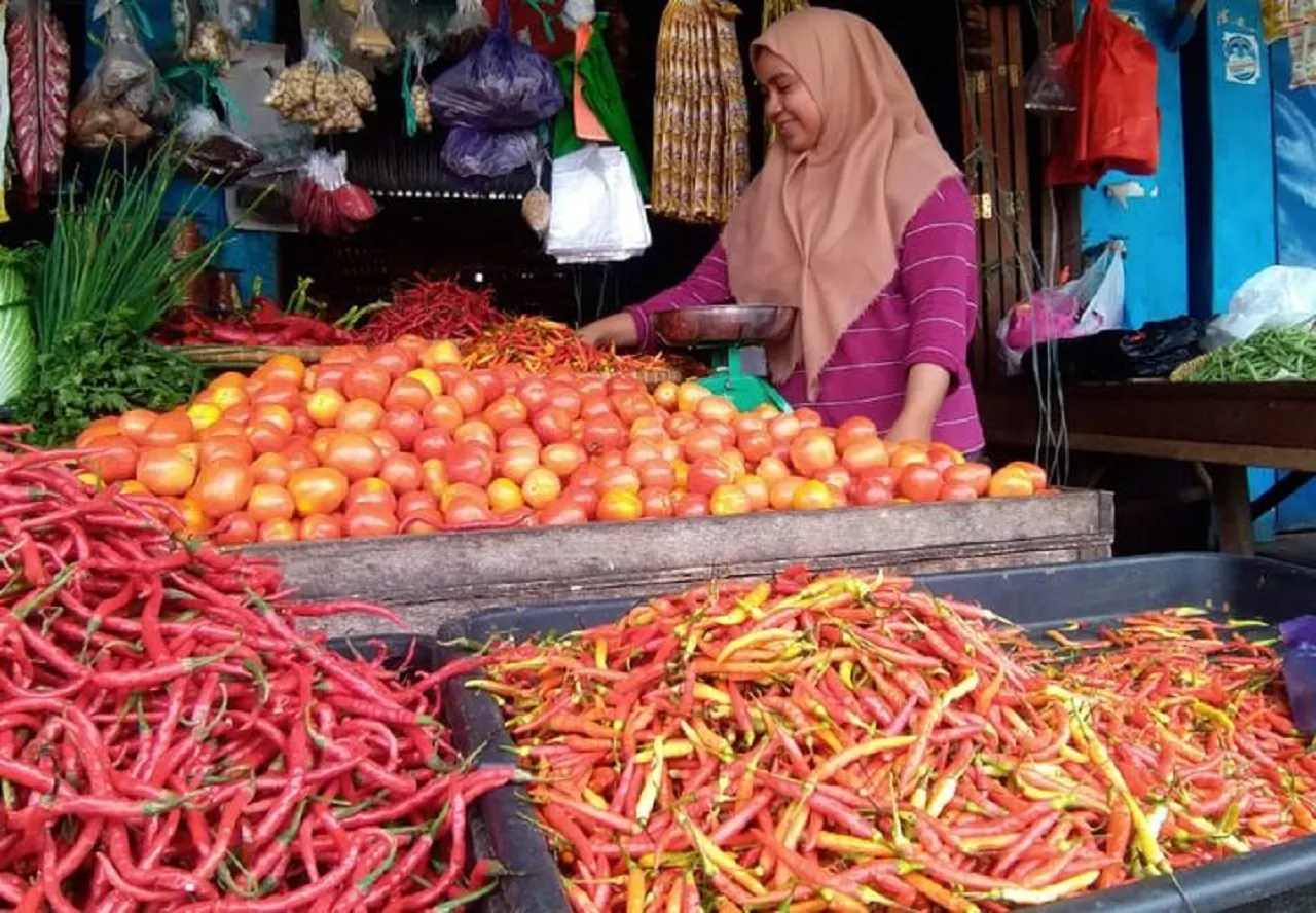 Gagal Panen di Musim Hujan, Harga Tomat di Ponorogo Melonjak Naik