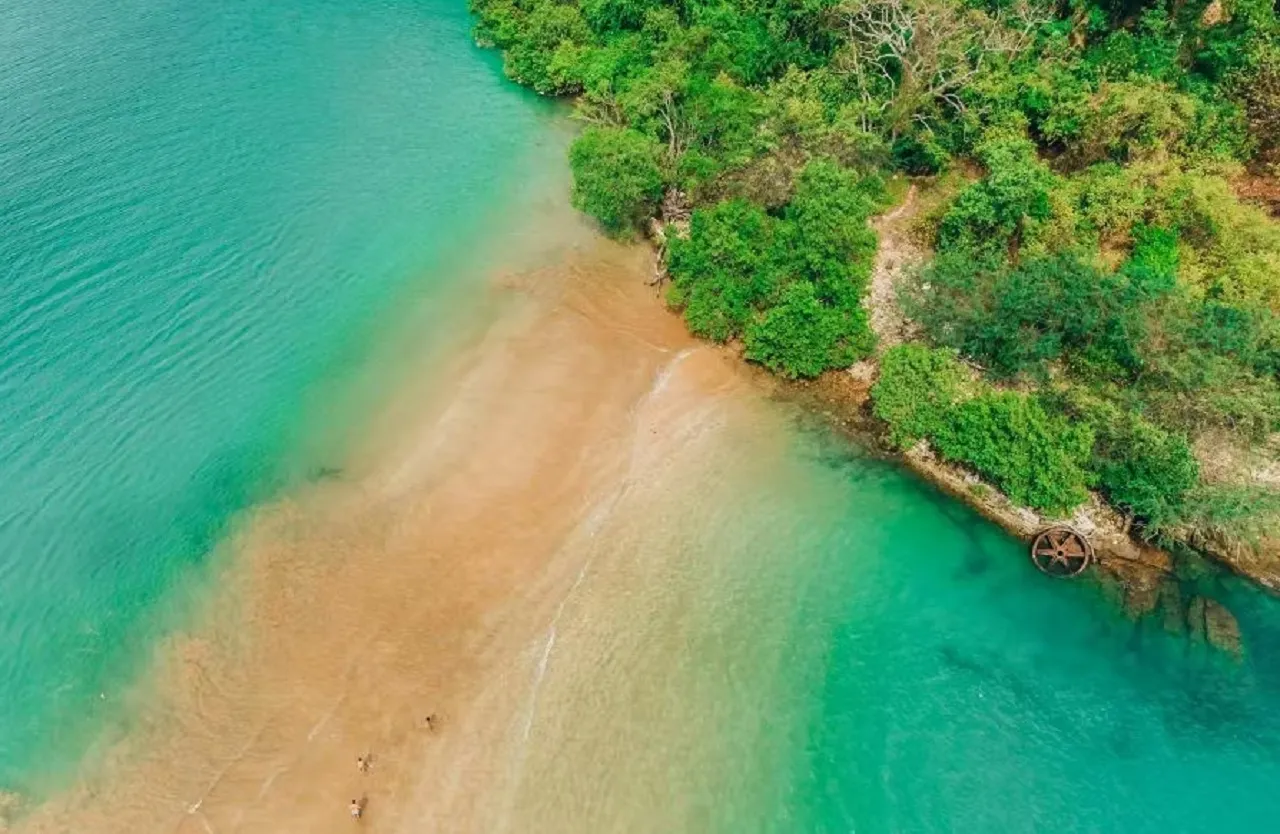 Pesona Pantai Teluk Hijau, Surga Tersembunyi di Ujung Timur Pulau Jawa