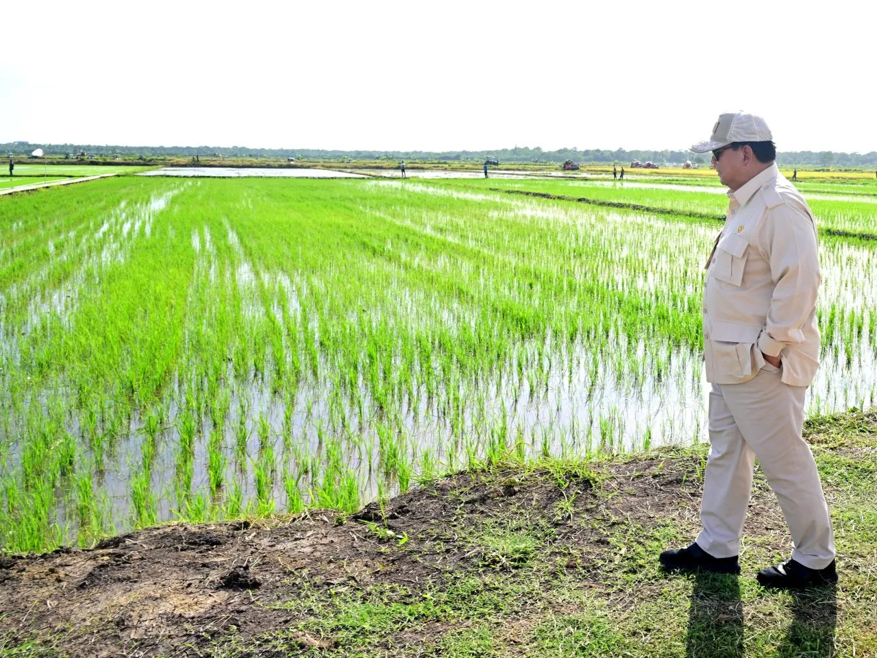 Punya Cadangan Pangan Hingga 2 Juta Ton, Prabowo Berbunga-bunga