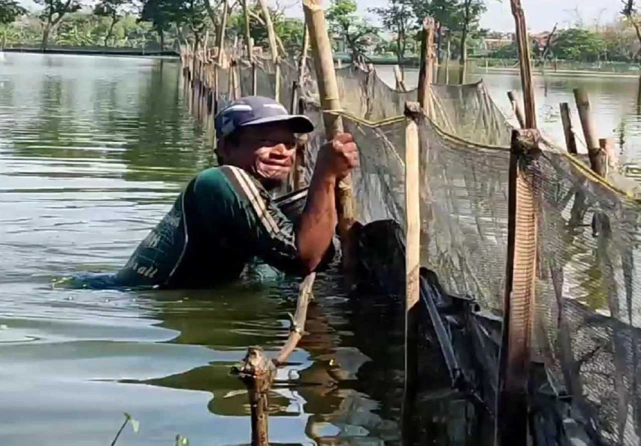 Musim Penghujan, Petambak Lamongan Kesulitan Dapat Benih Ikan dari Pemasok