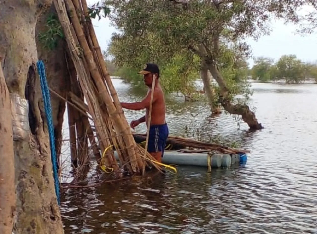 Ratusan Hektar Lahan Tambak di Sedati Sidoarjo Diterjang Banjir ROB