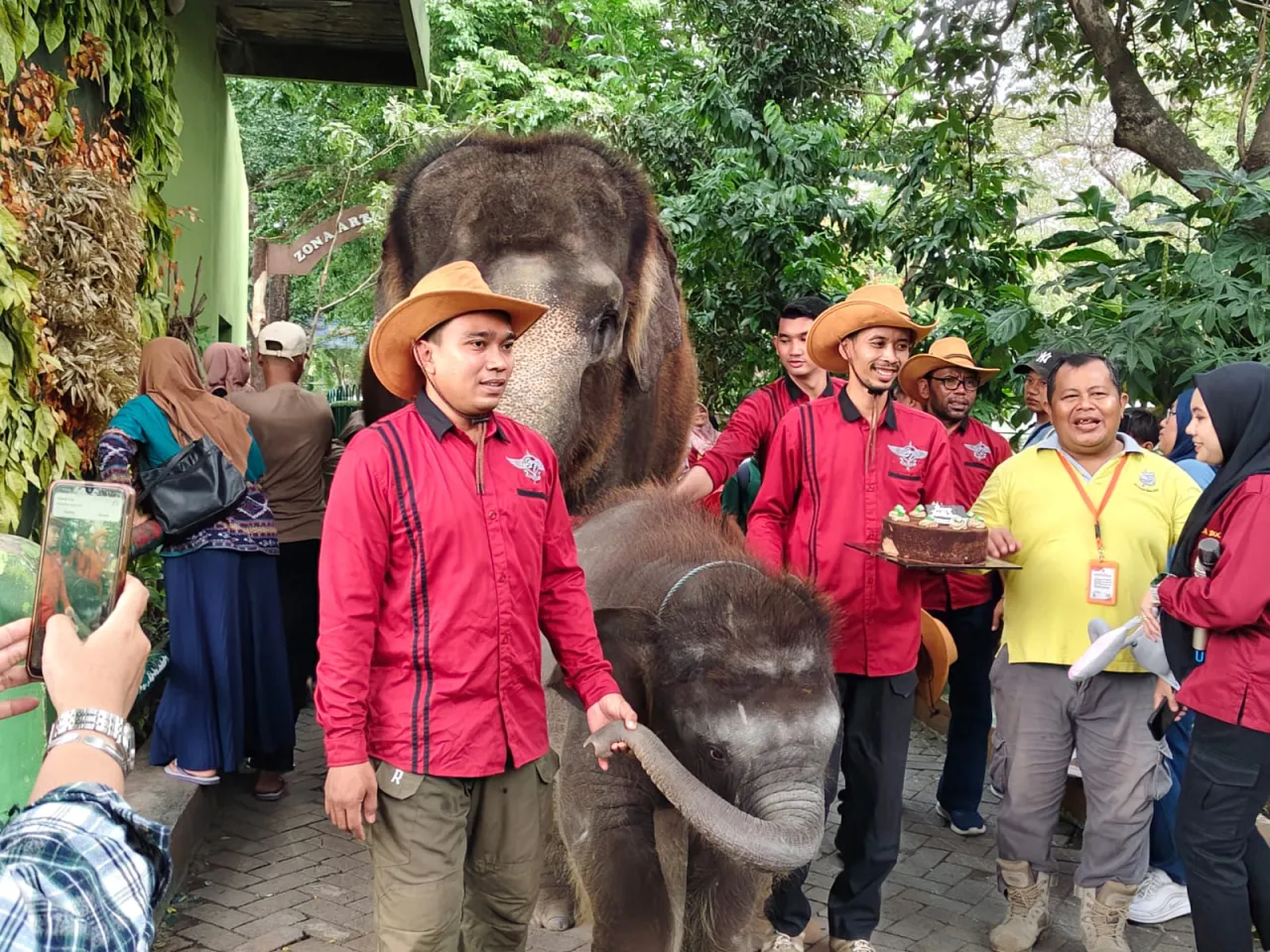 Baca juga : KBS Rayakan Ultah ‘Gonzales’ Gajah Jantan ke-14