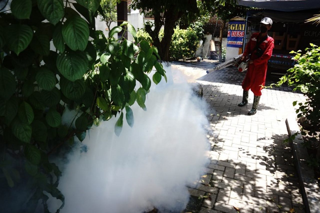 Petugas melakukan fogging di Kabupaten Jombang, Kamis (25/1/2024). SP/Sarep
