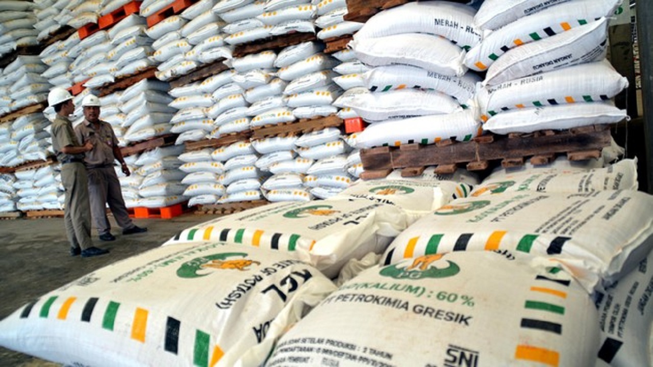 Ilustrasi. Ketersediaan pupuk subsidi untuk para petani di gudang penyimpanan. SP/ Antara