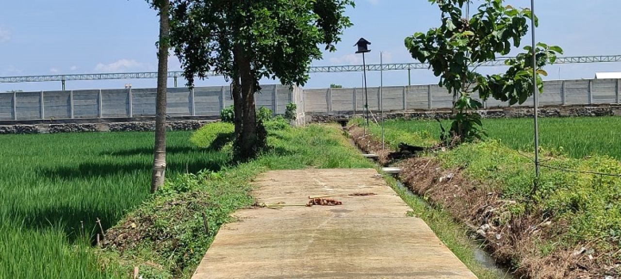 Jalan tani yang diduga diserobot pabrik pupuk PT Maxxi Agri di Desa Betek, Kecamatan Mojoagung, Kabupaten Jombang. SP/Sarep