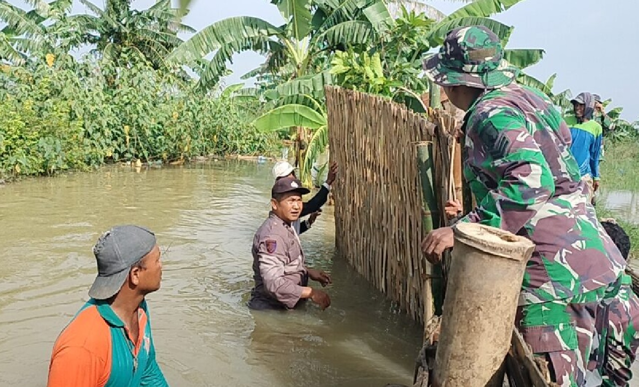 Anggota Koramil Modo, polsek setempat bersama masyarakat dan BPBD sedang memperbaiki tanggul Sungai Dusun Kepoh, Desa Kacangan, Kecamatan Modo, yang jebol. SP/ Istimewa